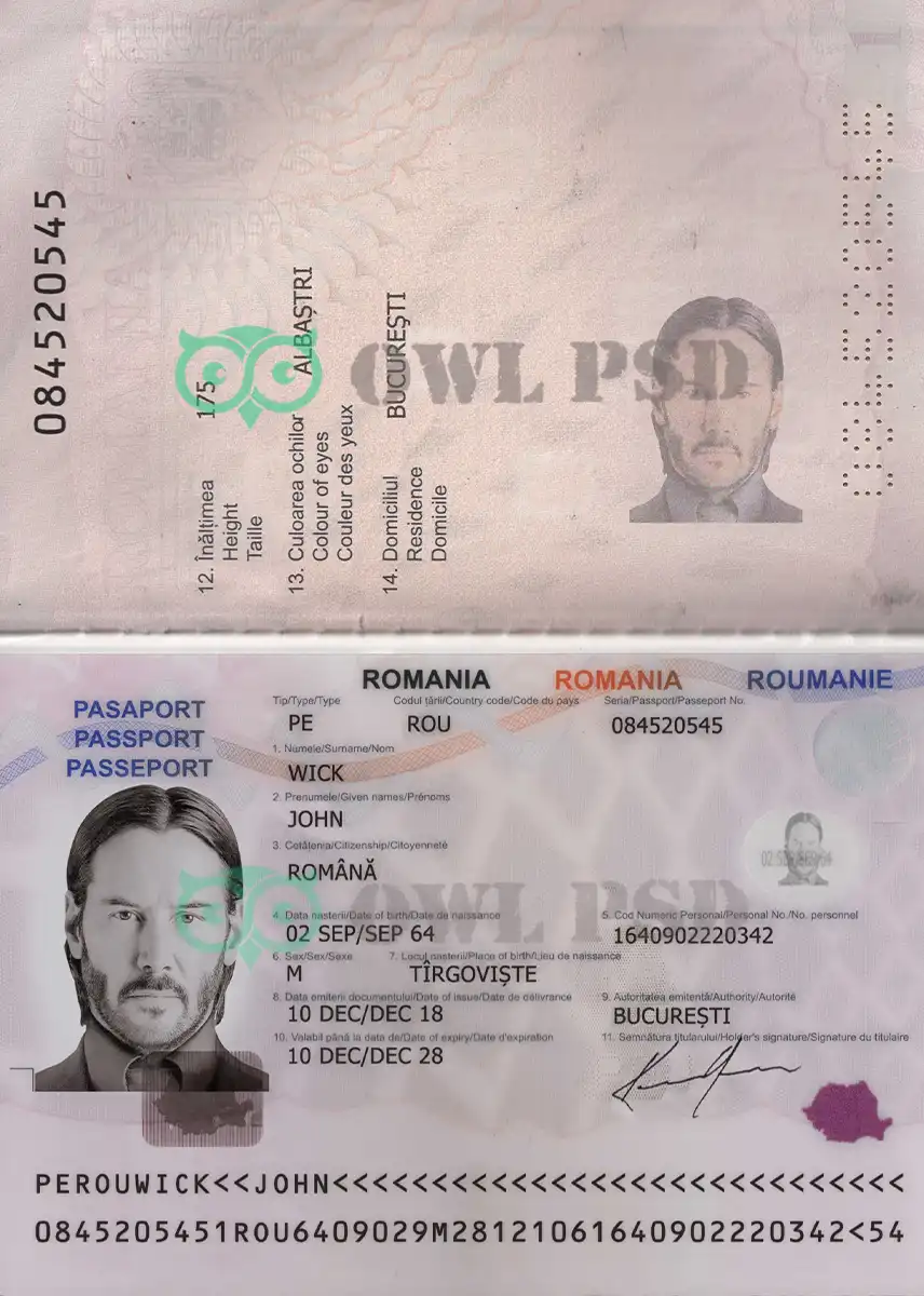 Romania Passport Template 2008 preview image 1