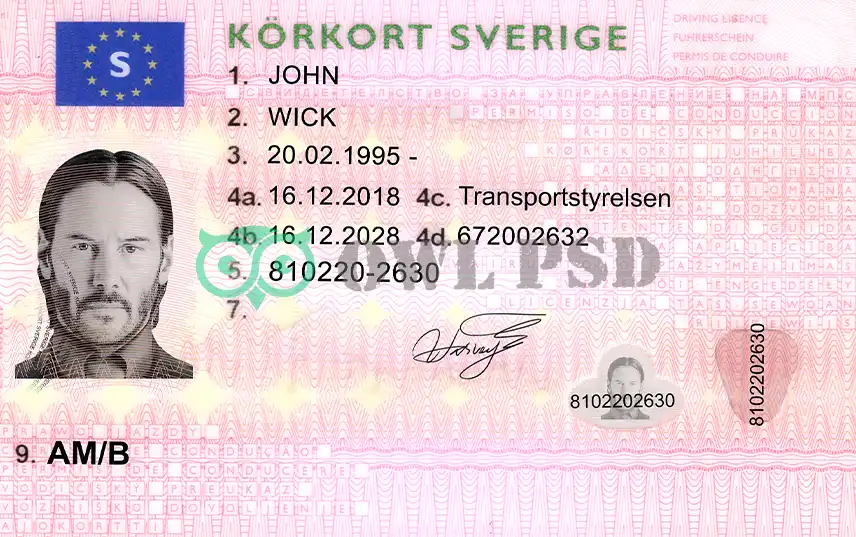 Sweden Driver License Template 2013 preview image 1