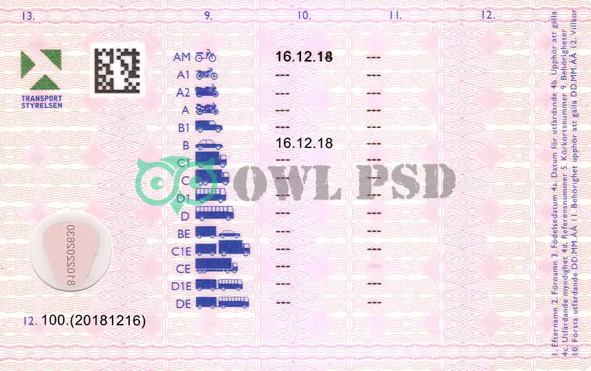 Sweden Driver License Template 2013 preview image 2