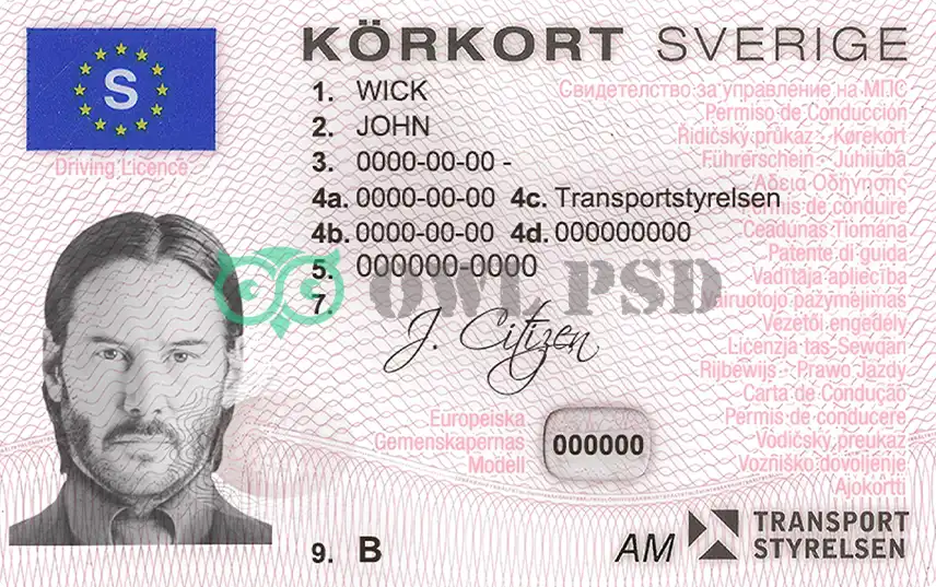 Sweden Driver License Template preview image 1