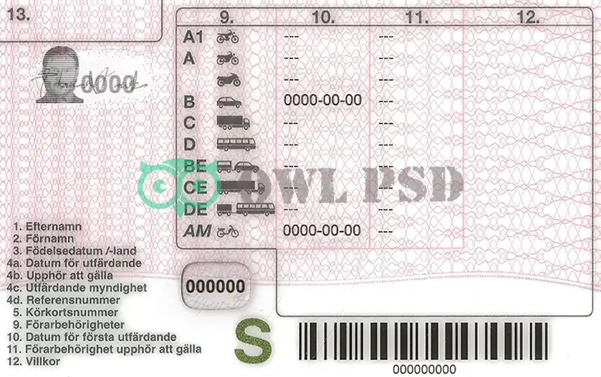 Sweden Driver License Template preview image 2