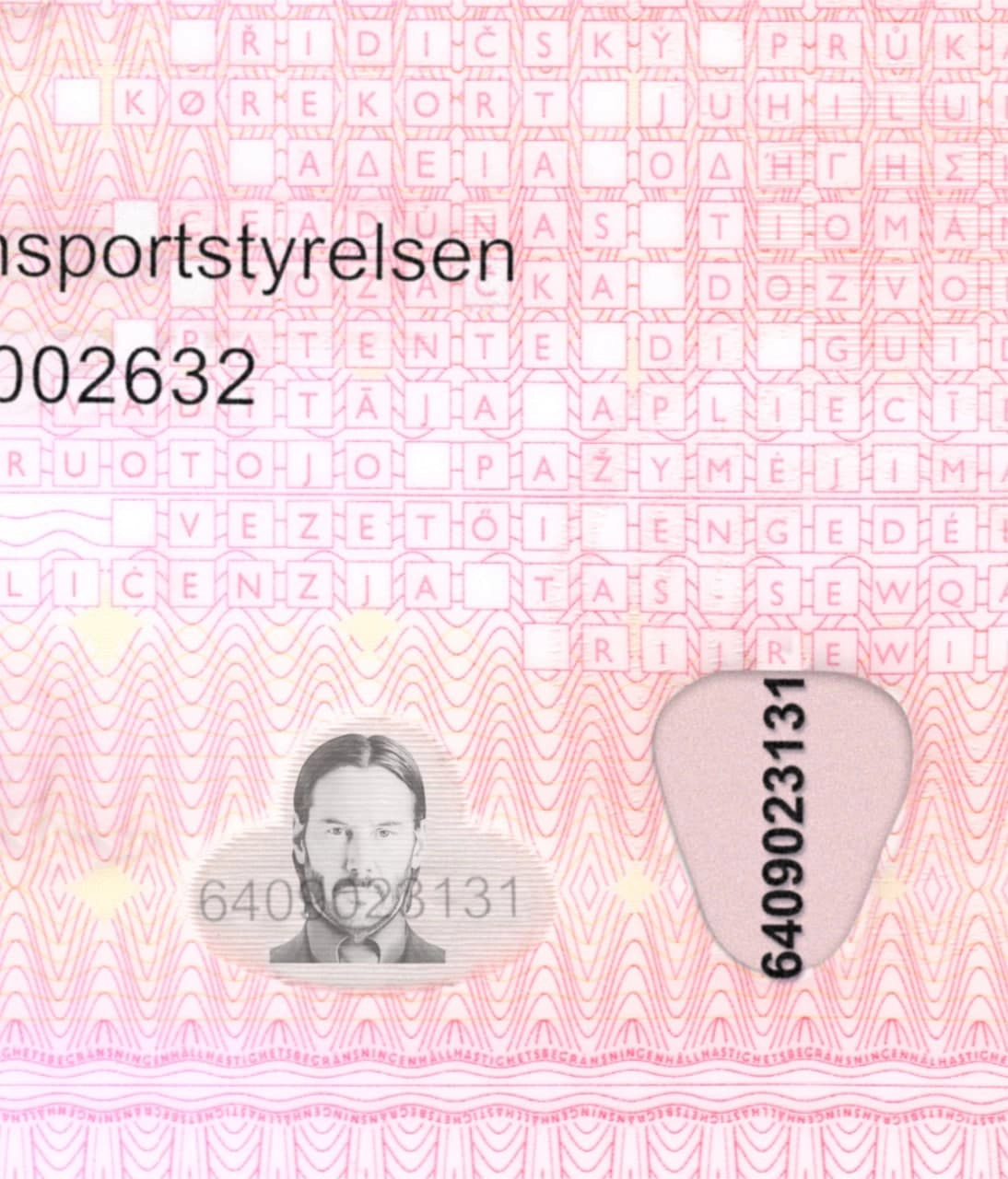 Sweden Driver License Template 2013 preview image 3