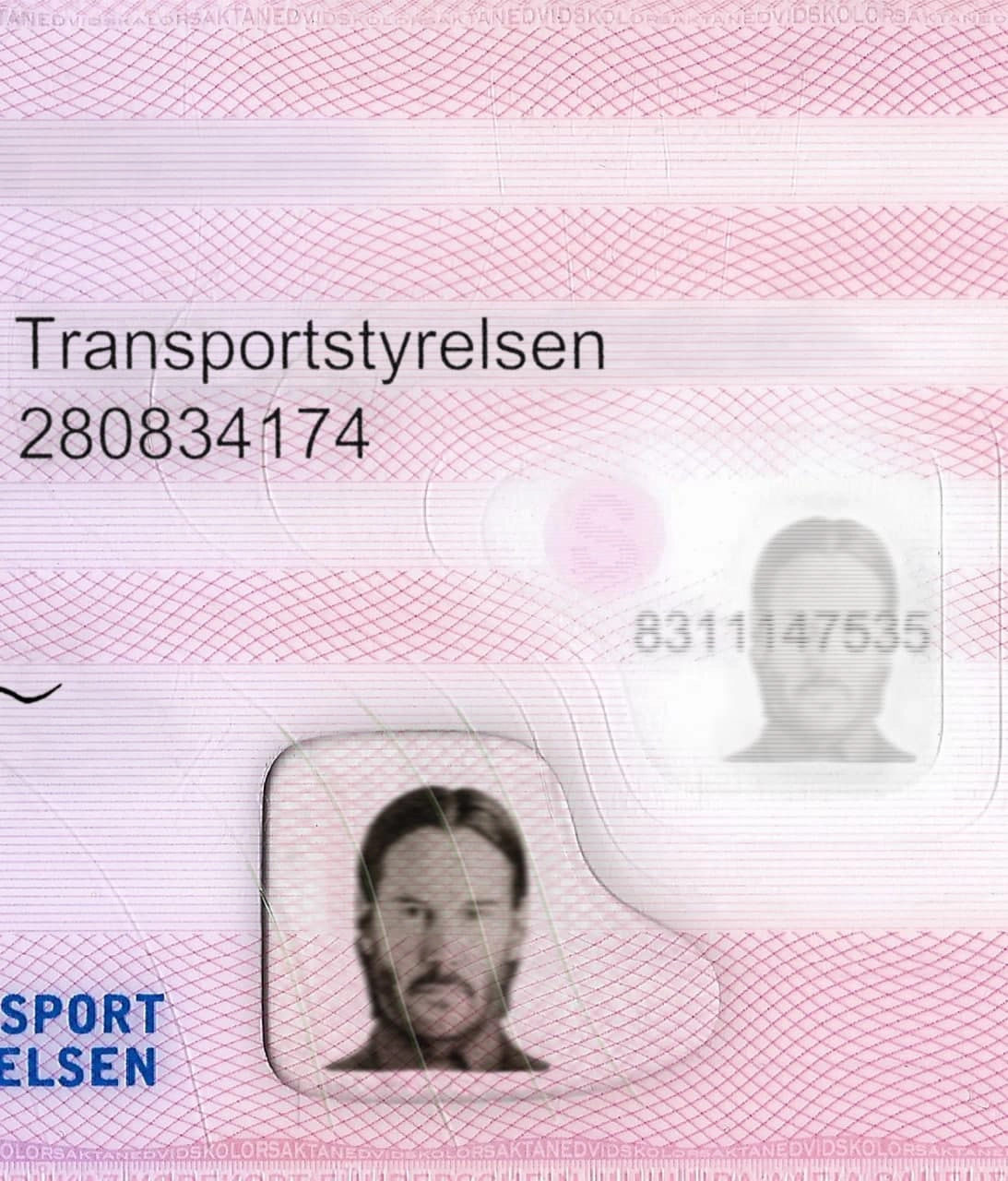 Sweden Driver License Template 2016 preview image 2
