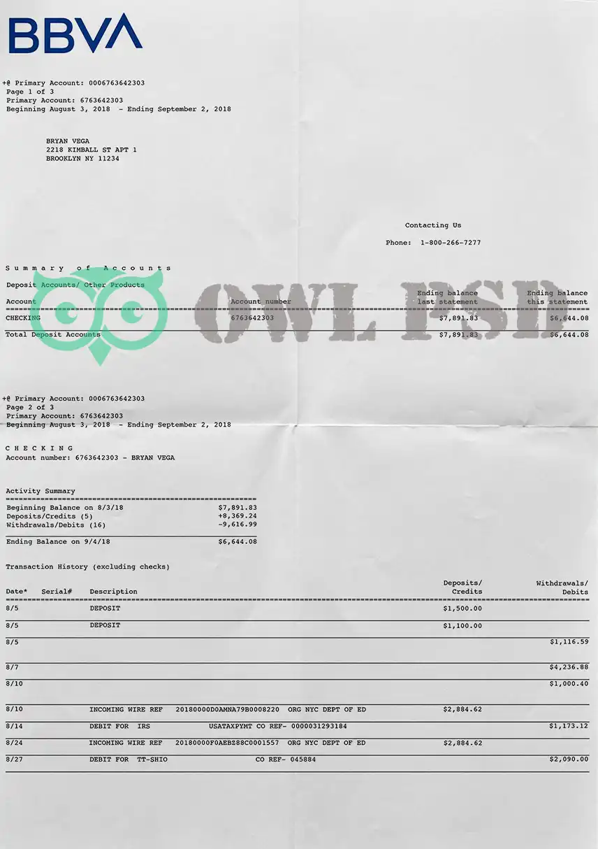 Spain BBVA Bank Statement Template preview image 1