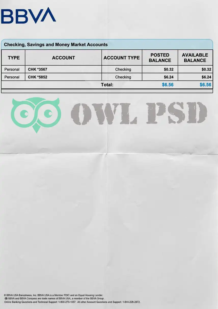 Spain BBVA Bank Utility Bill Template preview image 1