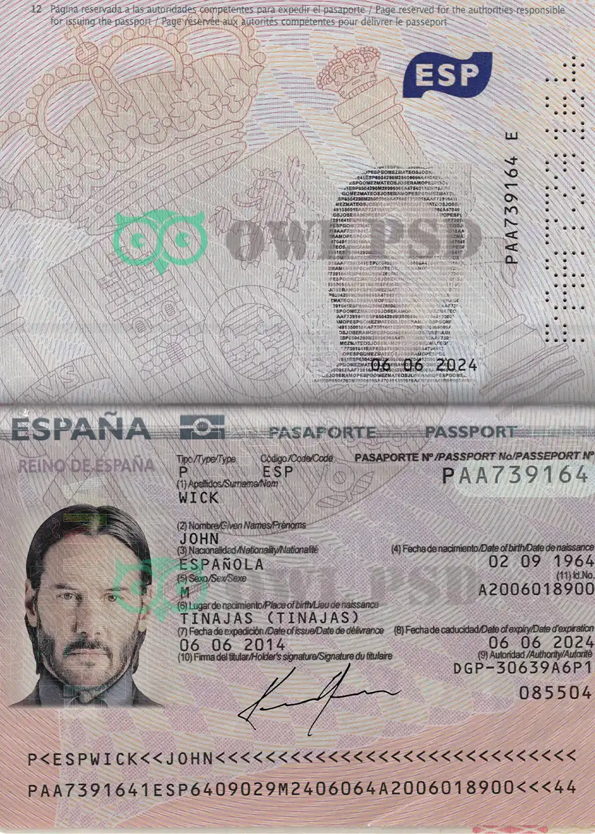 Spain Passport Template 2015 preview image 1