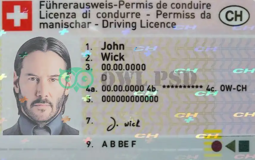 Switzerland Driver License Template preview image 1