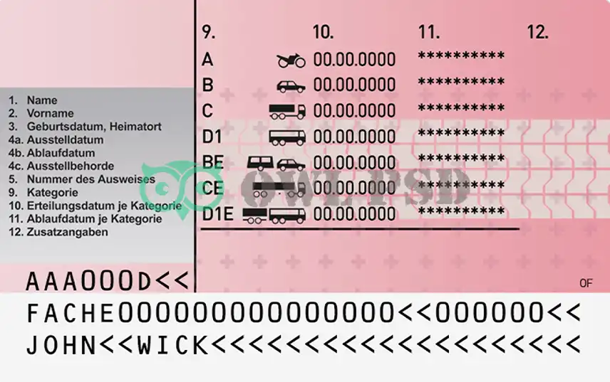 Switzerland Driver License Template preview image 2