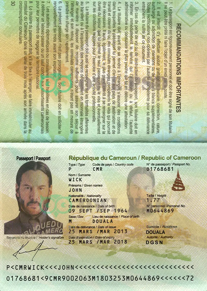 Cameroon Passport Template preview image 1