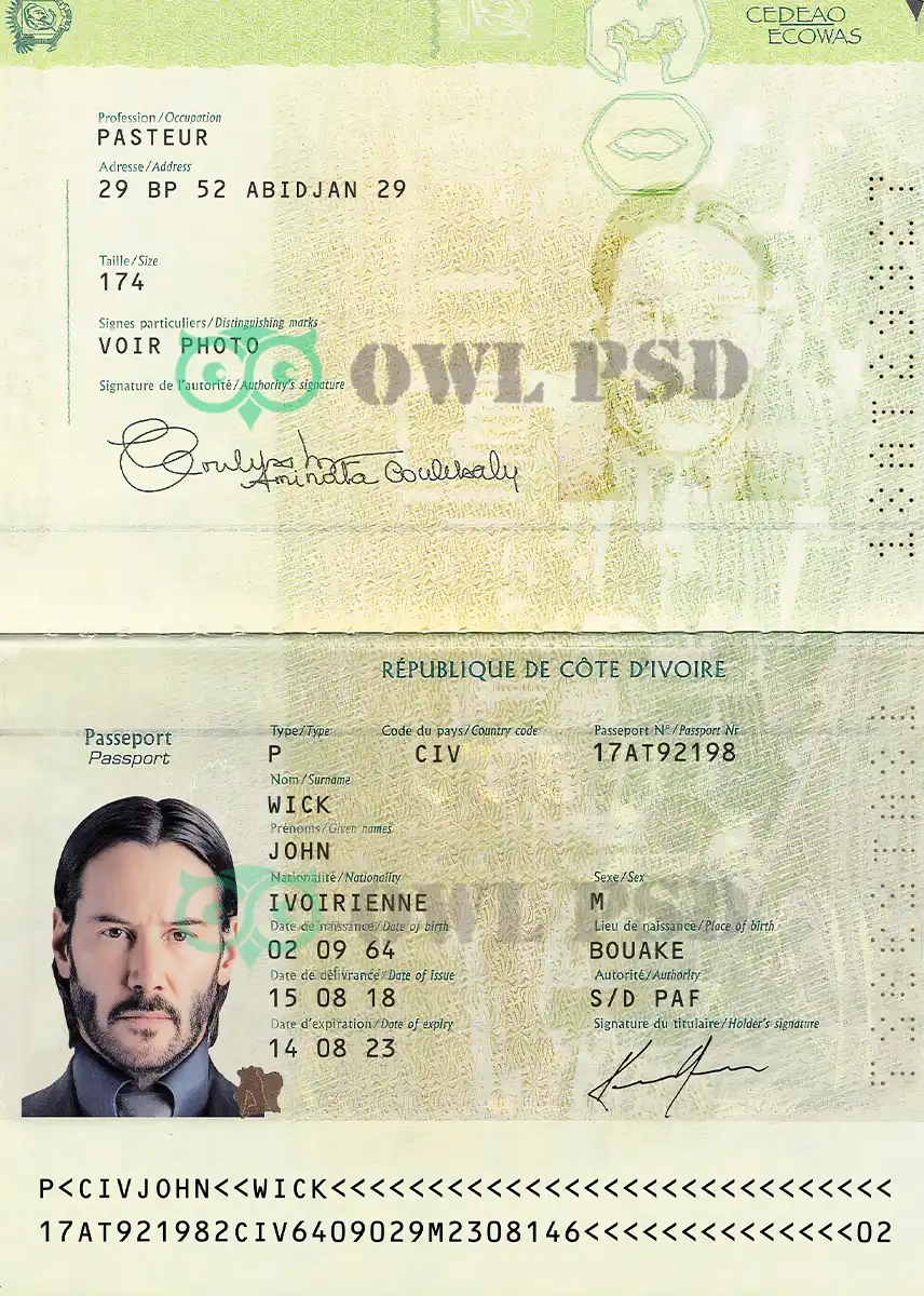 Côte d’Ivoire Passport Template 2008 preview image 1