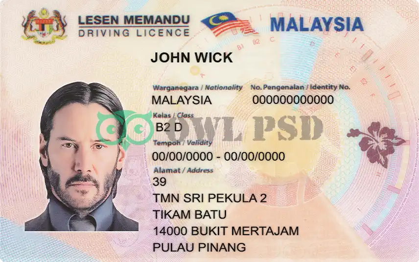 Malaysia Driver License Template preview image 1