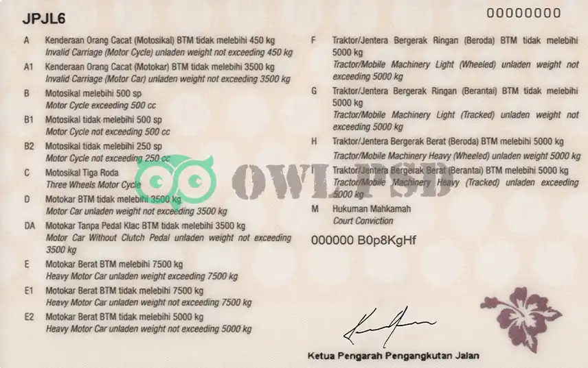 Malaysia Driver License Template preview image 2