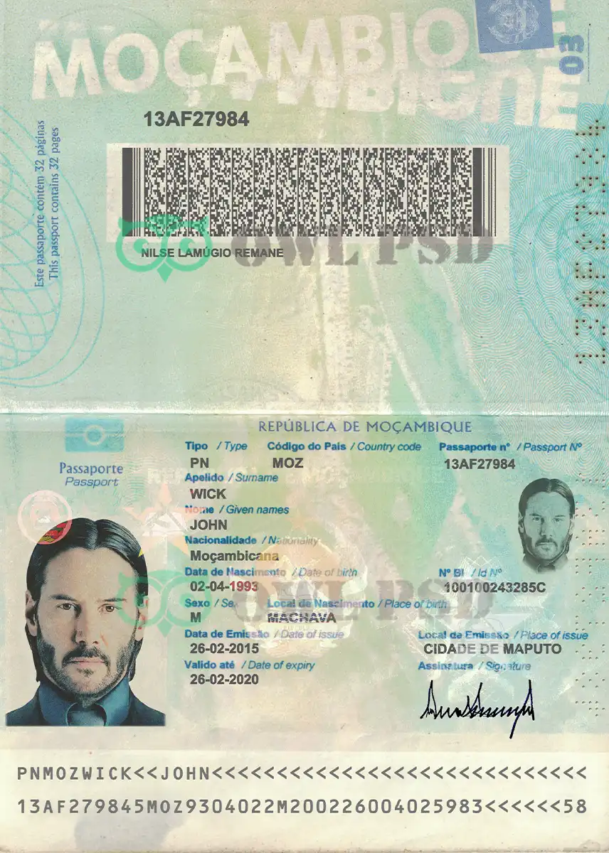 Mozambique Passport Template preview image 1