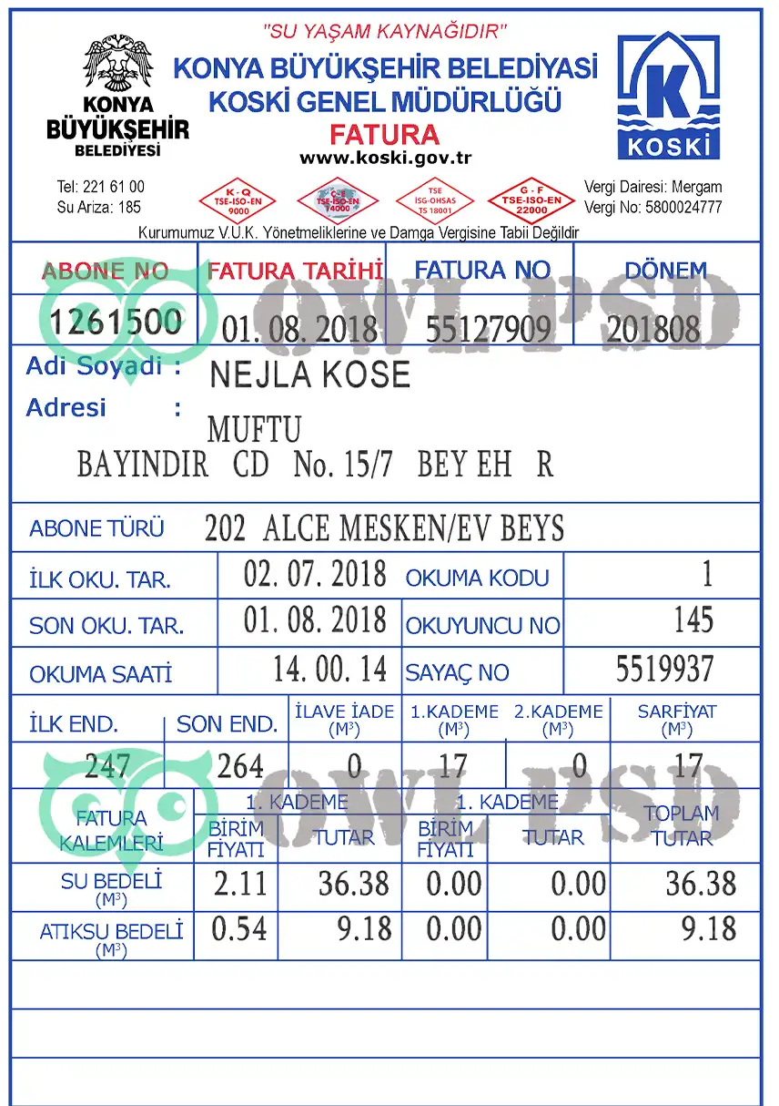 Turkey Koski Utility Bill Template preview image 1