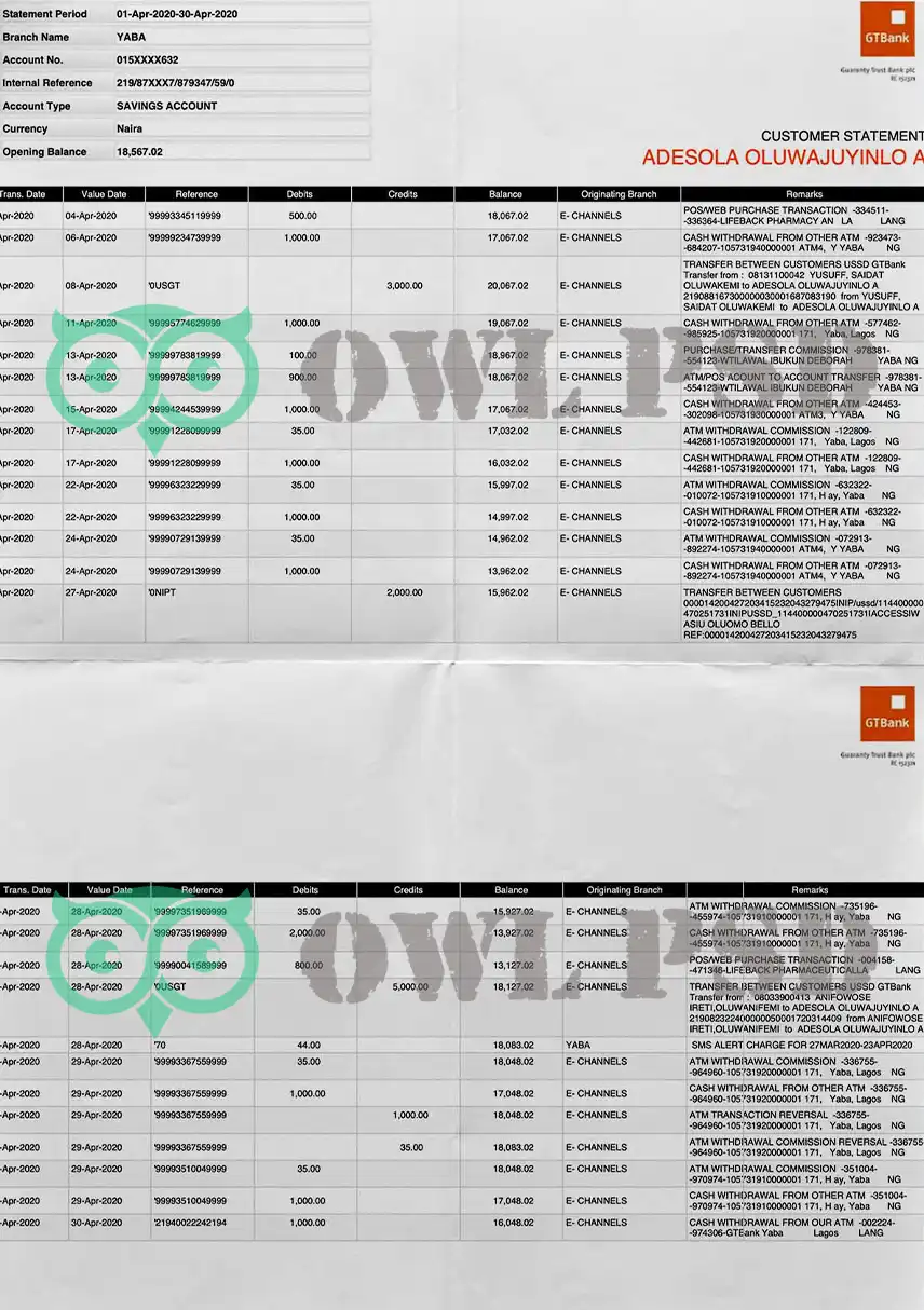 Nigeria GTBank Statement Template preview image 1