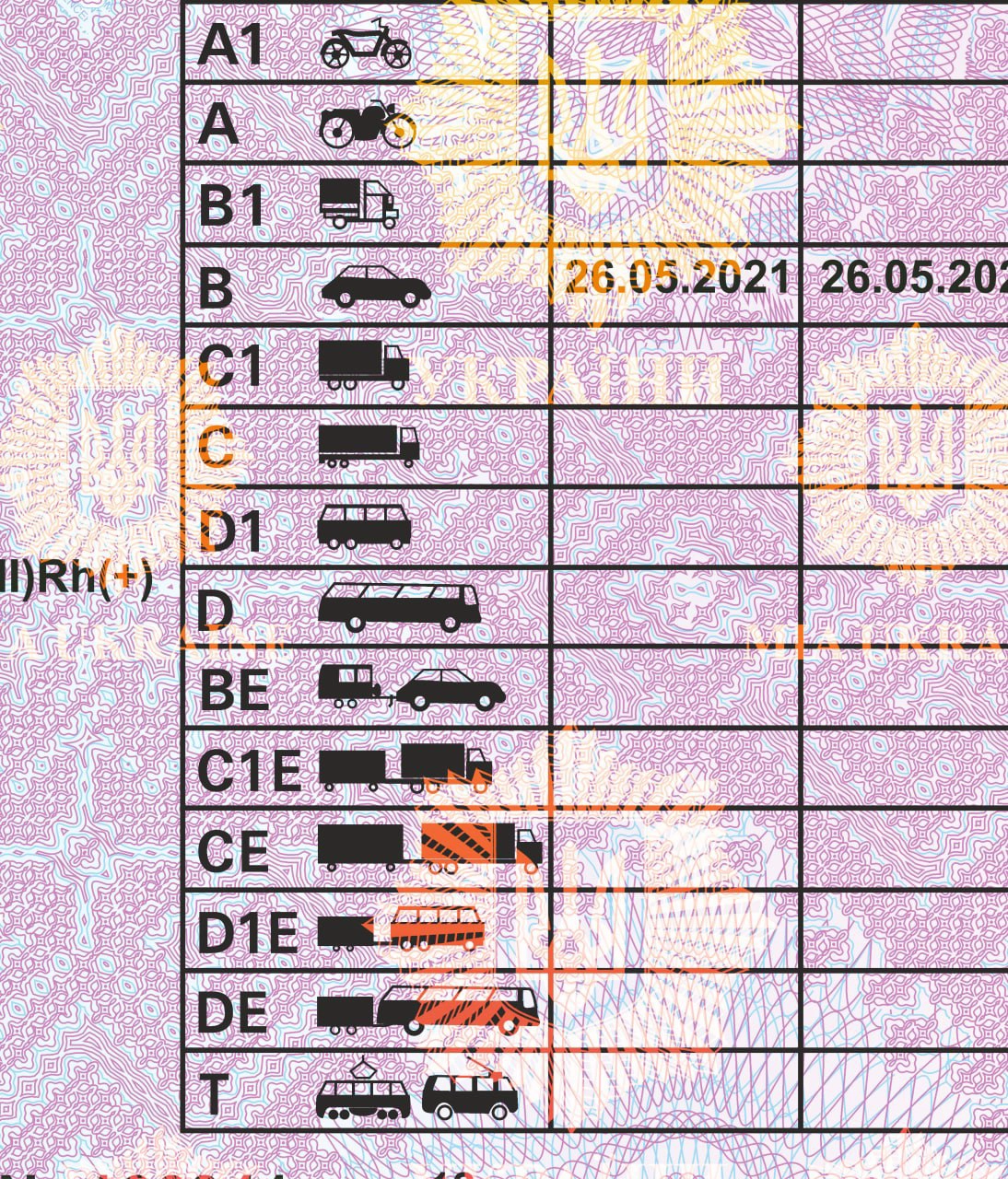 Ukraine Driver License Template 2021 preview image 3