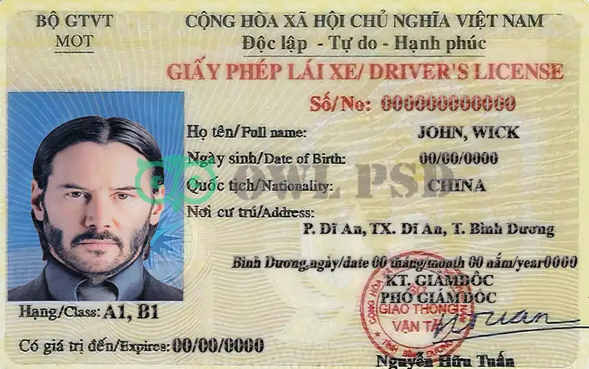 Vietnam Driver License Template preview image 1