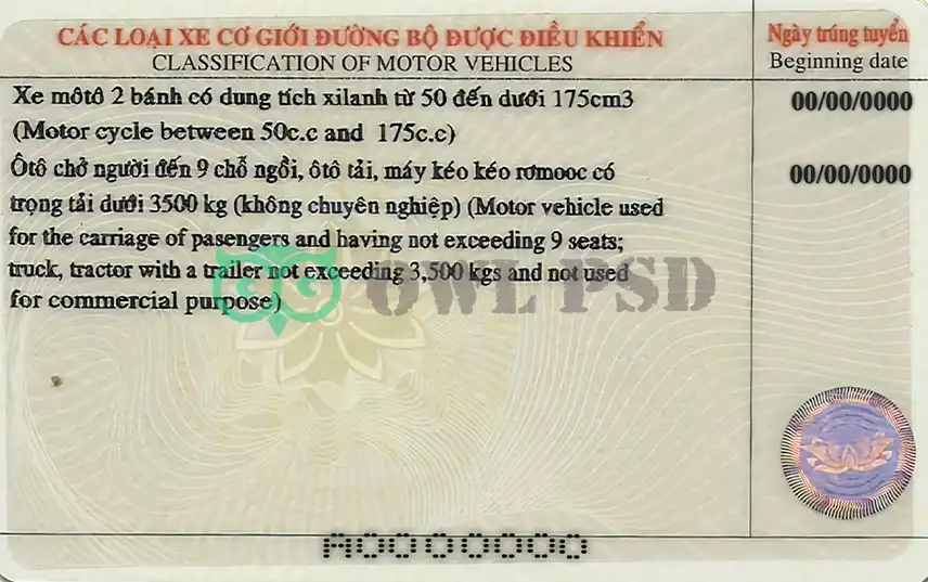 Vietnam Driver License Template preview image 2