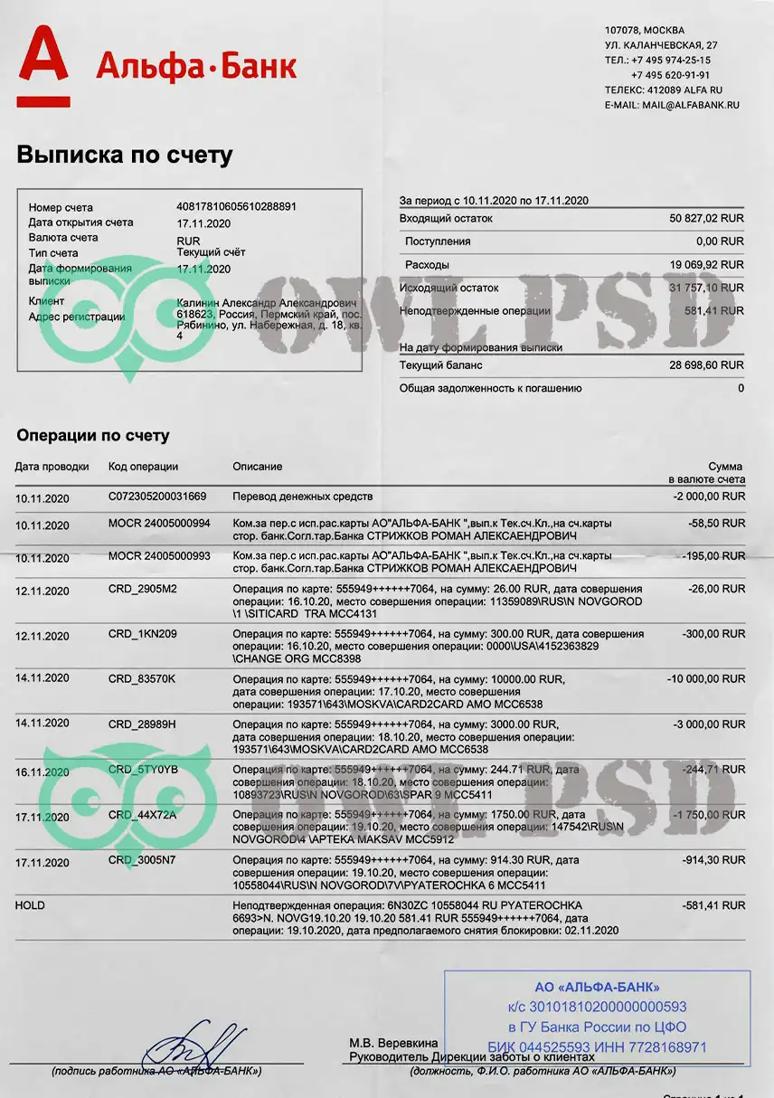 Russia Alfa-Bank Statement Template preview image 1