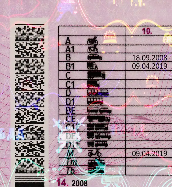 Russia Driver License Template 2009 preview image 2