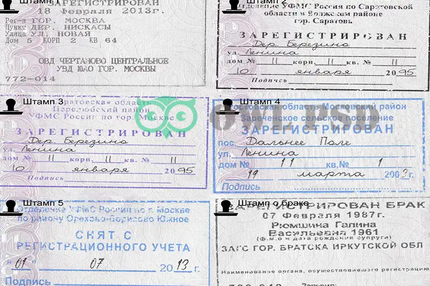 Russia Passport Template 2010 preview image 3