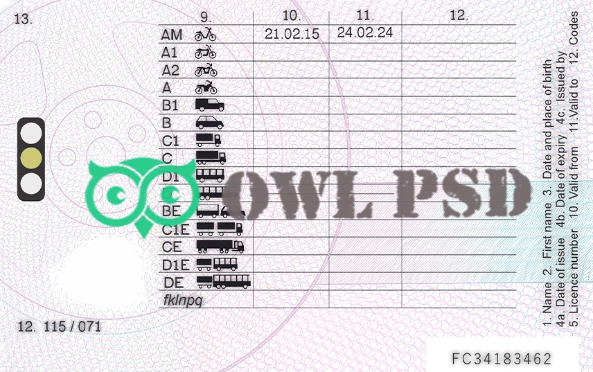 United Kingdom Drivers License Vector preview image 1
