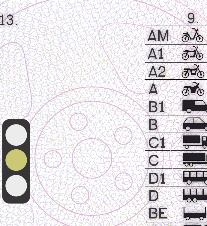 United Kingdom Drivers License Vector preview image 4