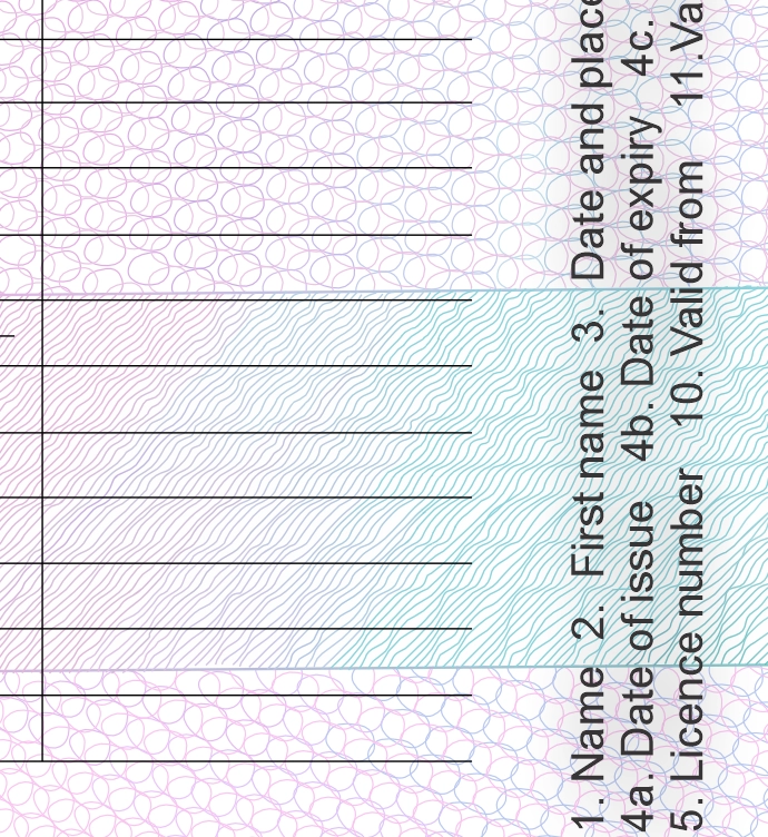 United Kingdom Drivers License Vector preview image 5