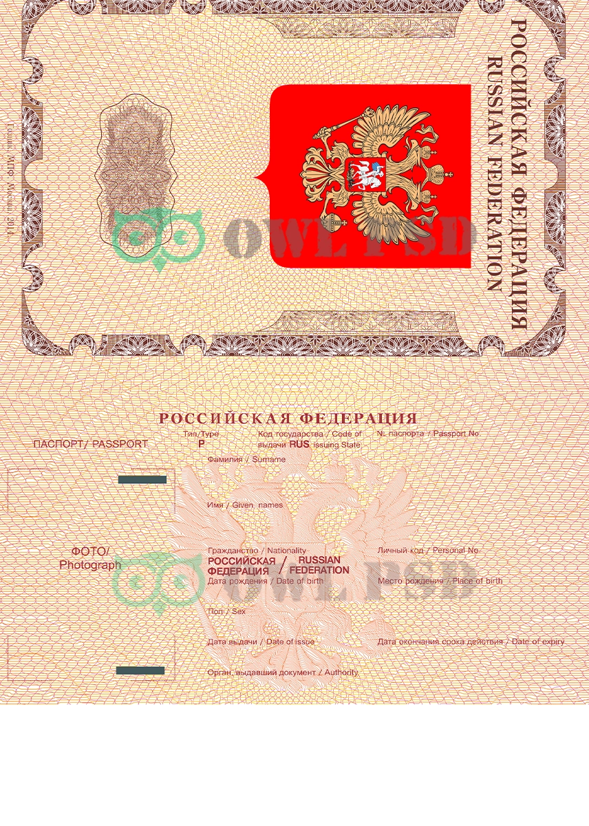 Russia International Passport Vector 2010 preview image 1