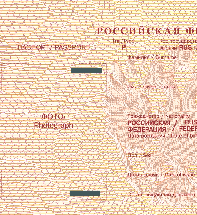 Russia International Passport Vector 2010 preview image 3