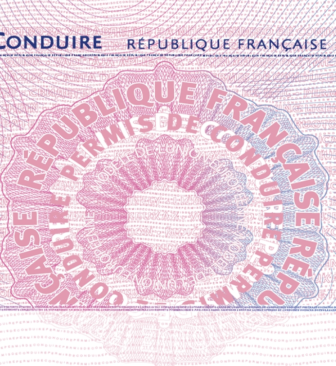 France Driver License Vector 2015 preview image 1