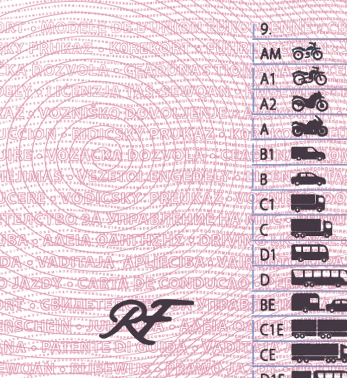 France Driver License Vector 2015 preview image 2