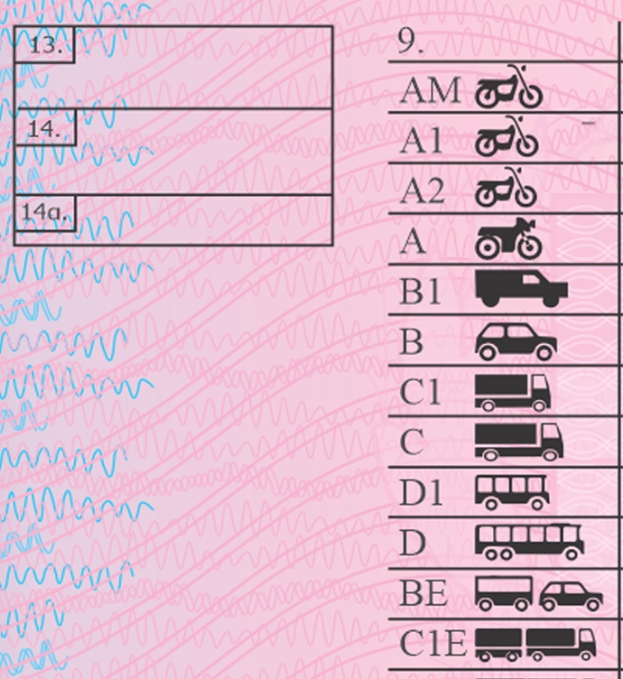 Greece Driver License Vector preview image 2