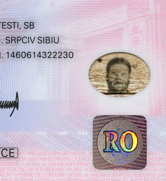 Romania Driver License Template 2013 preview image 2