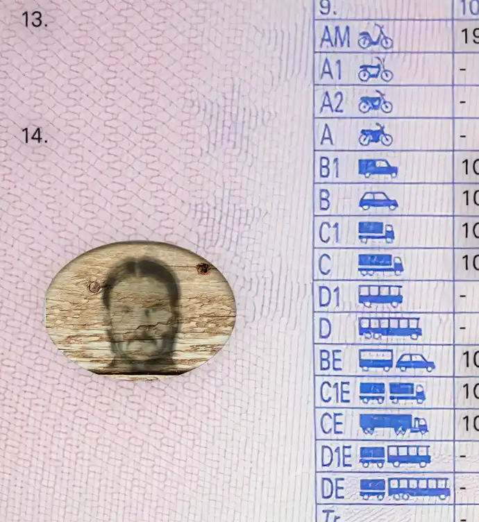 Romania Driver License Template 2013 preview image 3