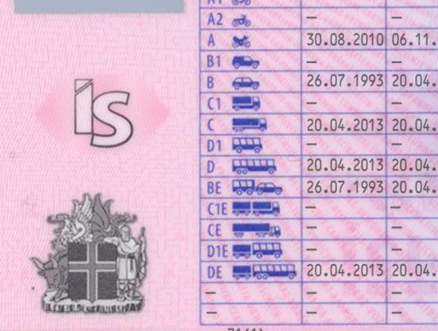 Iceland Driver License Template preview image 2