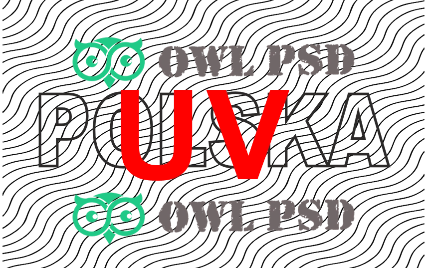 Poland ID Card Vector 2021 preview image 1