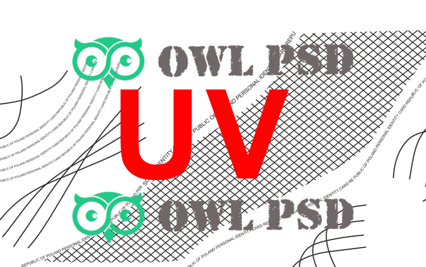 Poland ID Card Vector 2021 preview image 2