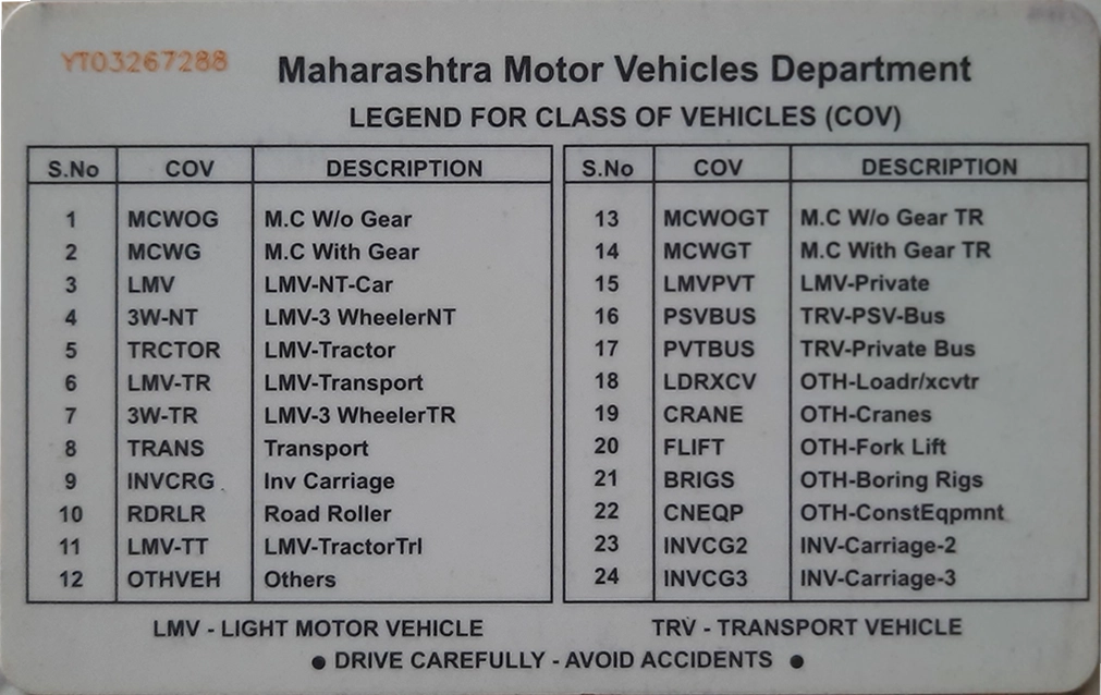 India Driver License Template preview image 1