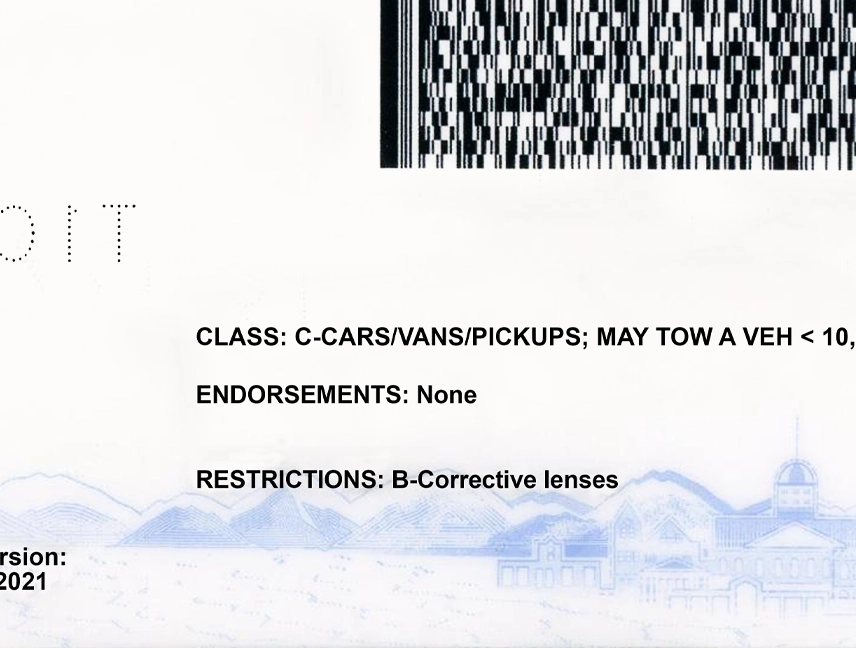 United States Nevada Driver License V3 Template preview image 2