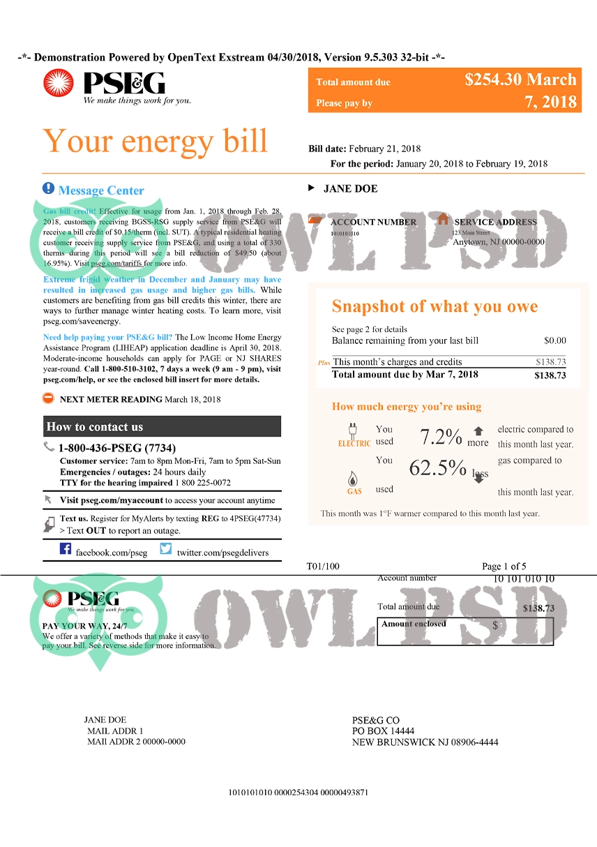United States PSEG Utility Bill Template preview image 1