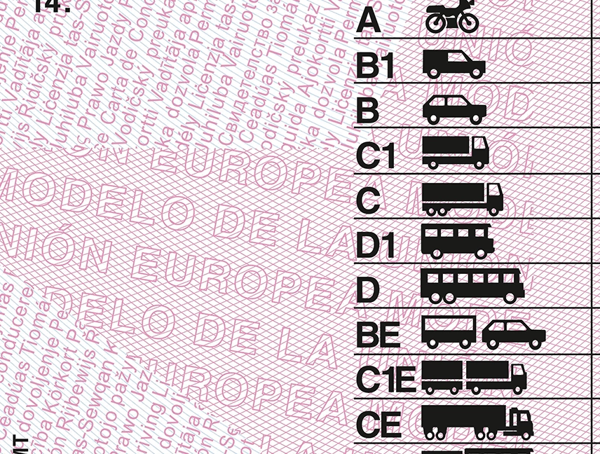 Spain Driver License Template Vector Quality preview image 2