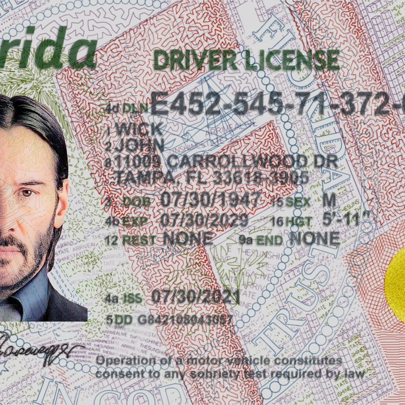 United States (Florida) Driver License New Template preview image 1
