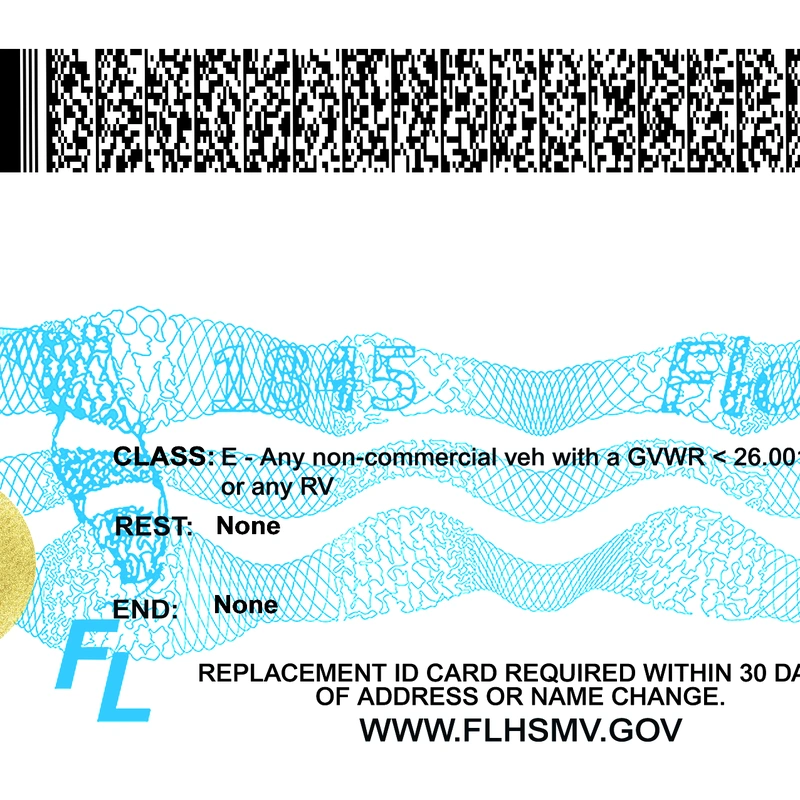 United States (Florida) Driver License New Template preview image 2