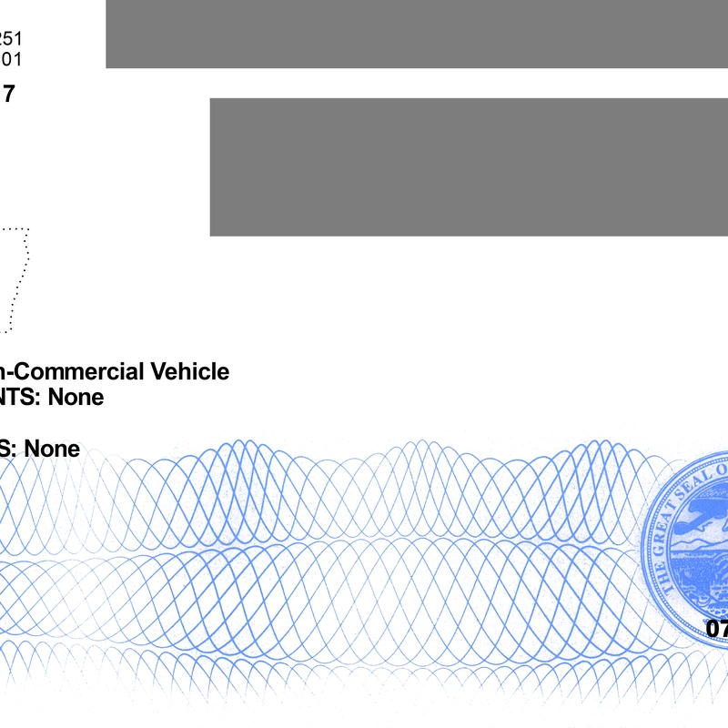 United States (IOWA) Driver License NEW Template preview image 2