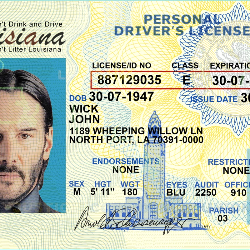 United States (LOUSIANA) Driver License preview image 1