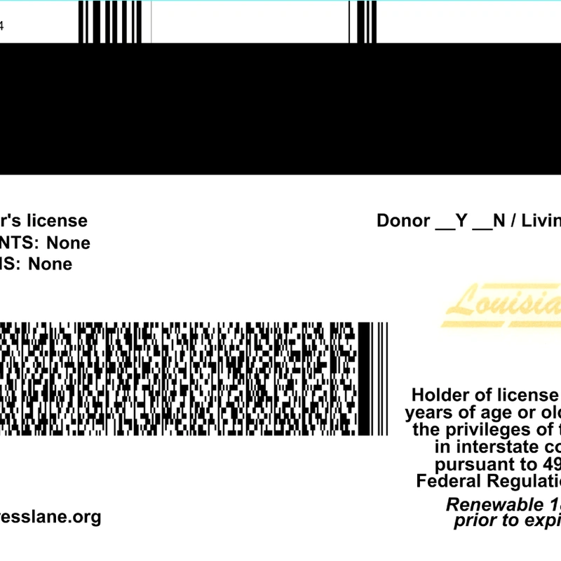 United States (LOUSIANA) Driver License preview image 2