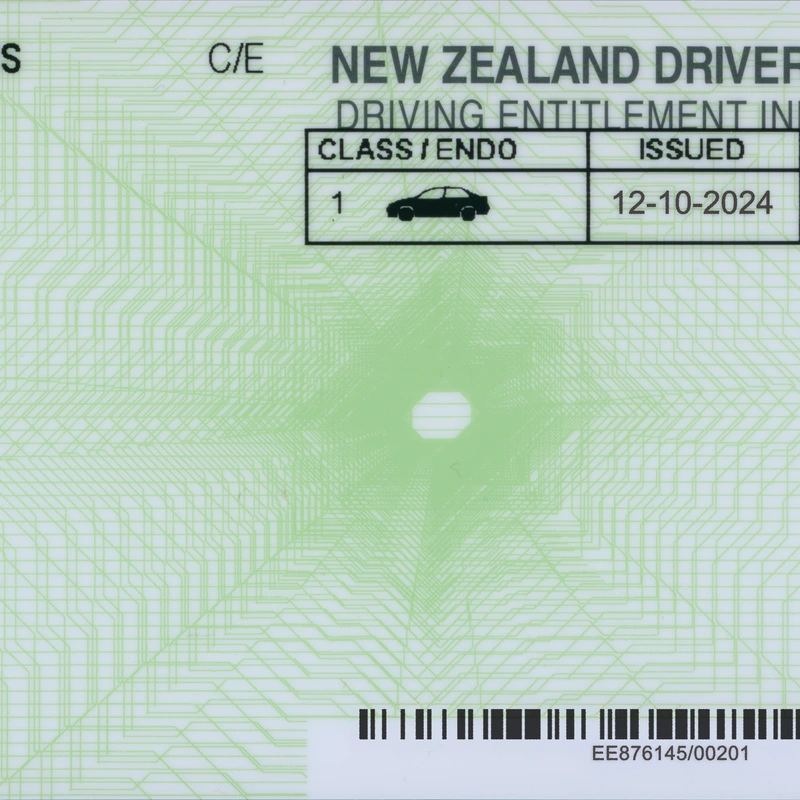 New Zealand Driver License High quality Template preview image 2