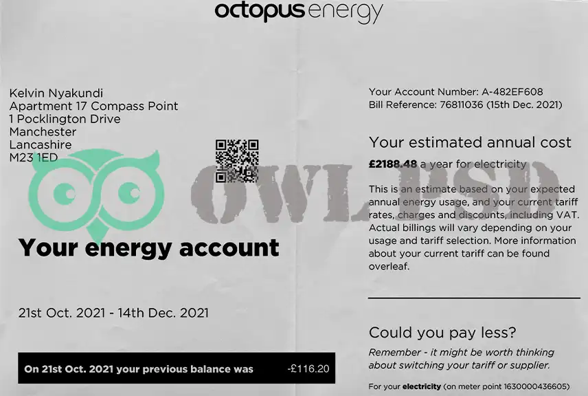 UK Octopus Energy Template