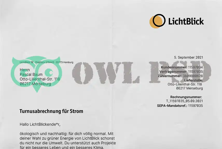 Germany LichtBlick Utility Bill Template